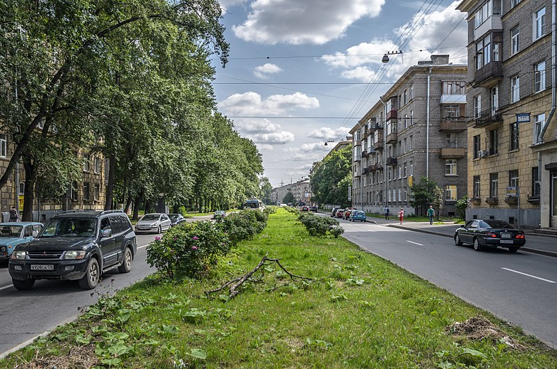 Улица Васи Алексеева (Санкт-Петербург)