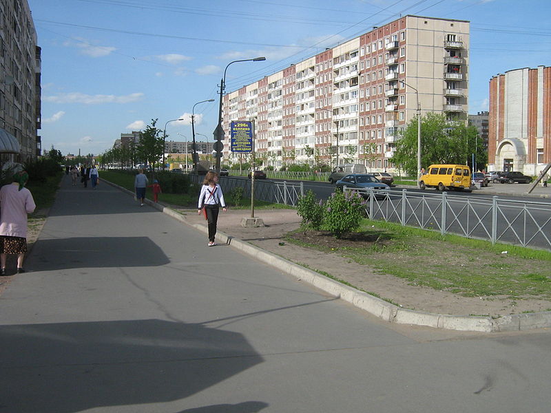 Улица Веры Слуцкой (Санкт-Петербург)
