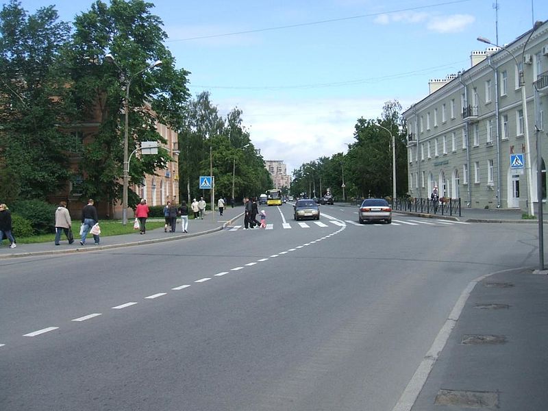 Улица Володарского (Сестрорецк)