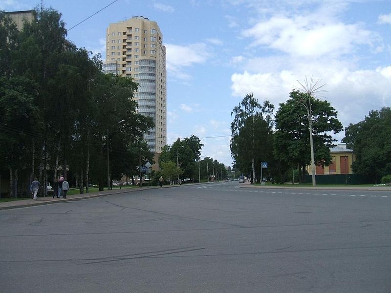 Улица Воскова (Сестрорецк)