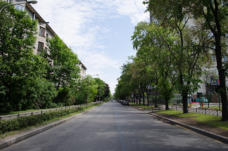Дибуновская улица (Санкт-Петербург)