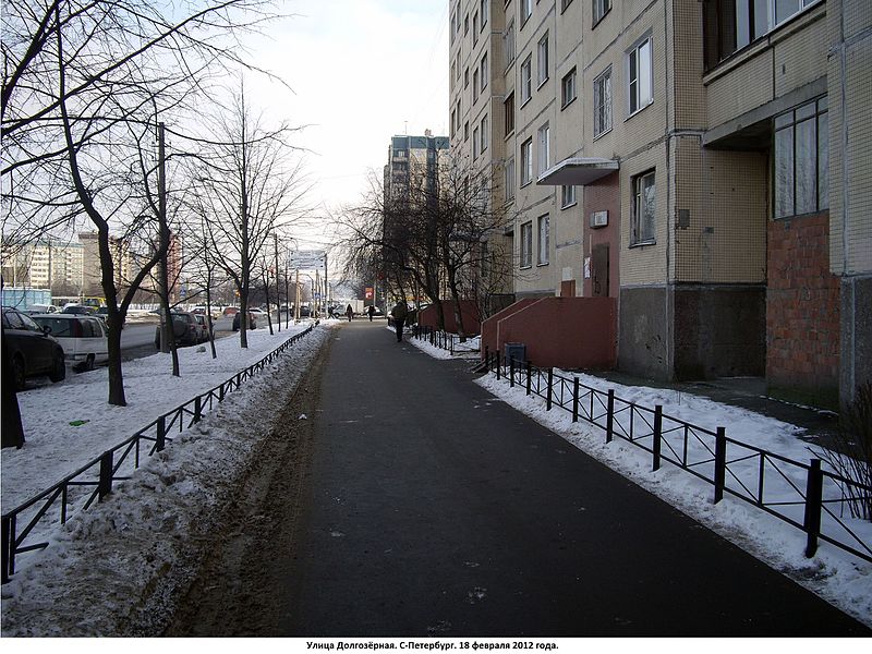 Долгоозёрная улица (Санкт-Петербург)