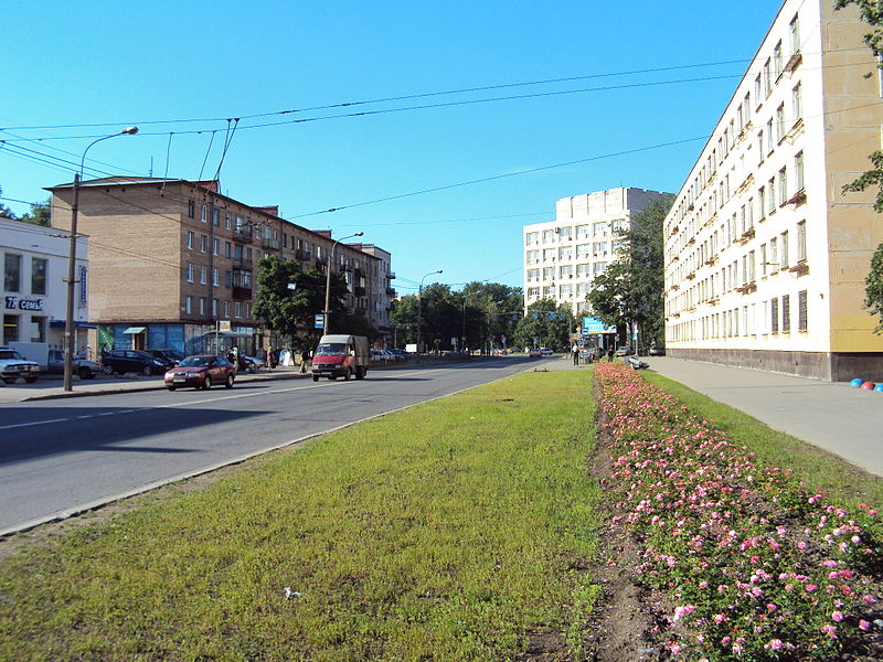 Улица Зины Портновой (Санкт-Петербург)