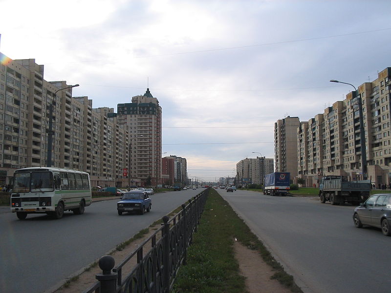 Проспект Косыгина (Санкт-Петербург)