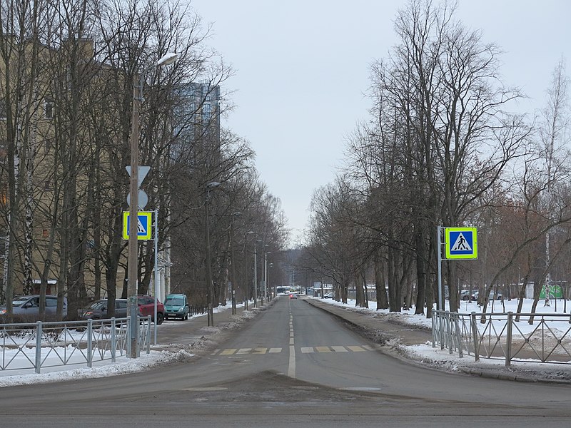 Ланская улица (Санкт-Петербург)