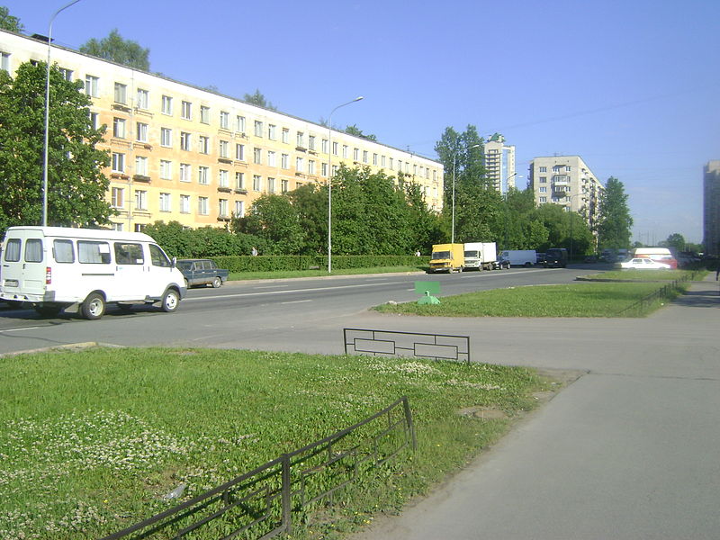 Улица Лёни Голикова (Санкт-Петербург)