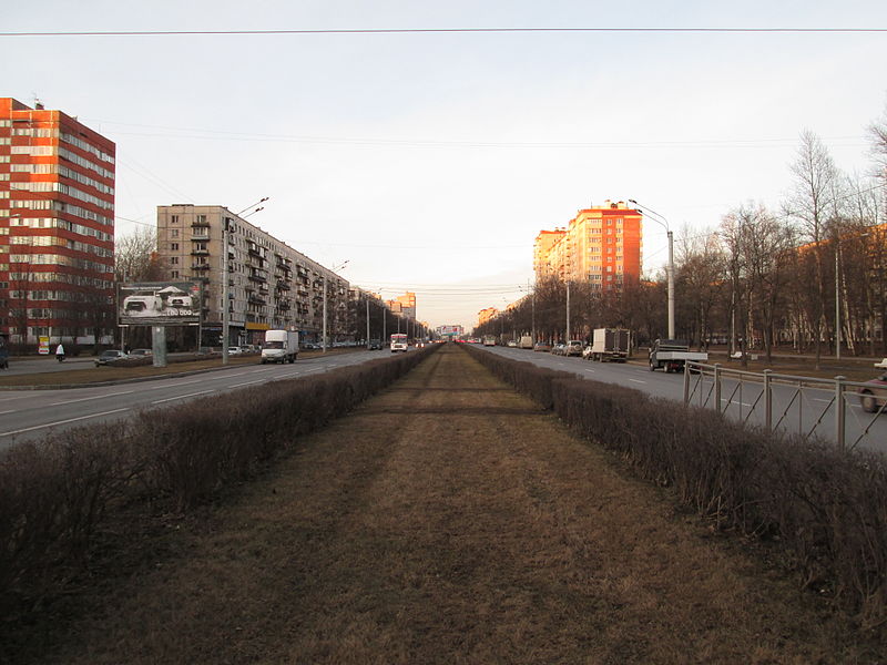 Светлановский проспект (Санкт-Петербург)