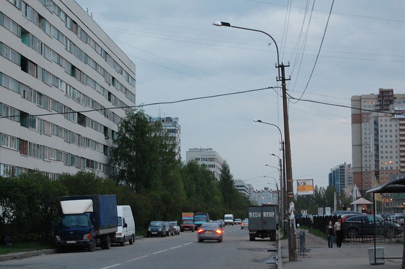 Улица Ушинского (Санкт-Петербург)