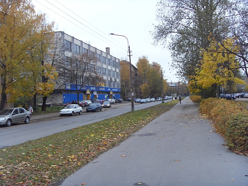 Улица Хлопина (Санкт-Петербург)